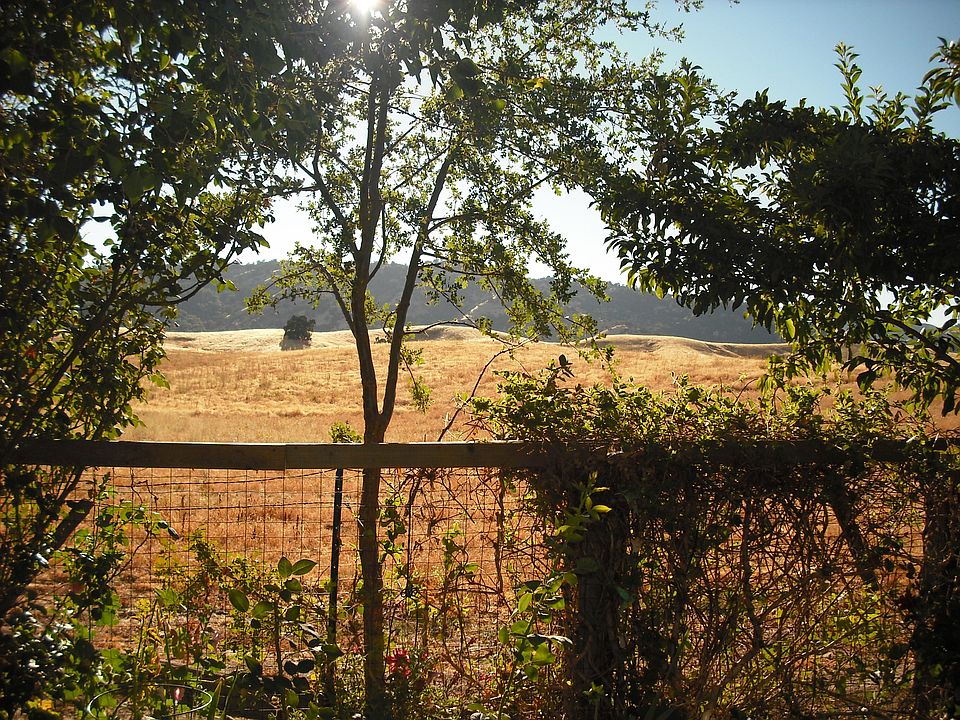 View from back yard
