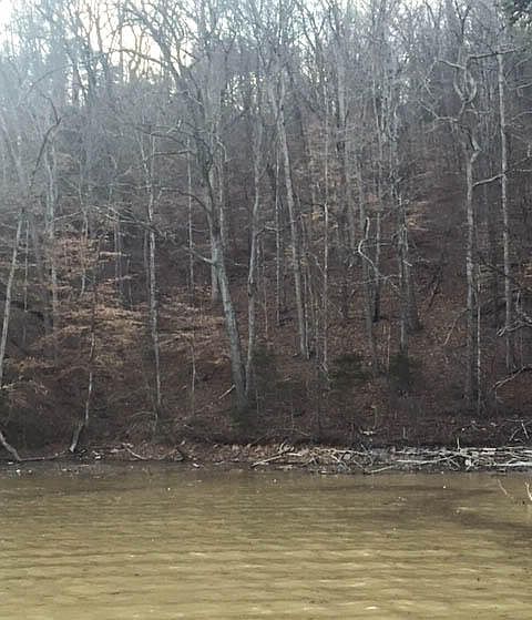 2nd image of Norris Shores Dr