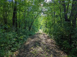 N6843 Shamrock Lake Rd, Hawkins, WI 54530