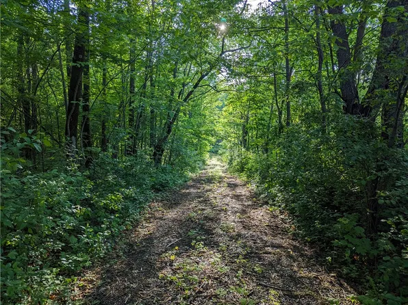 N6843 Shamrock Lake Road, Hawkins, WI 54530