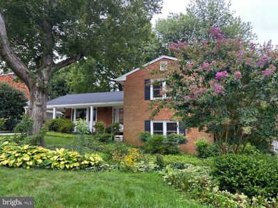 6507 Orland St, Falls Church, VA, 22043