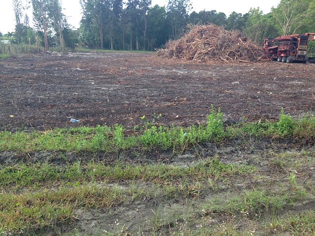 1st image of 11064 62nd Ln N