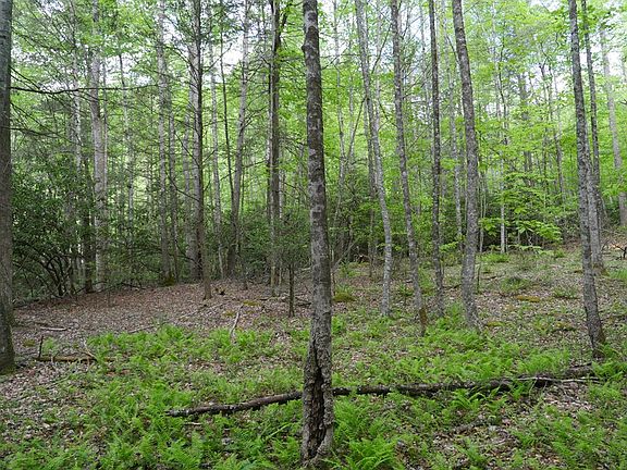 2nd image of 265 Still House Hollow Rd
