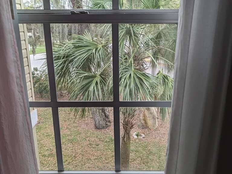 view from bed room