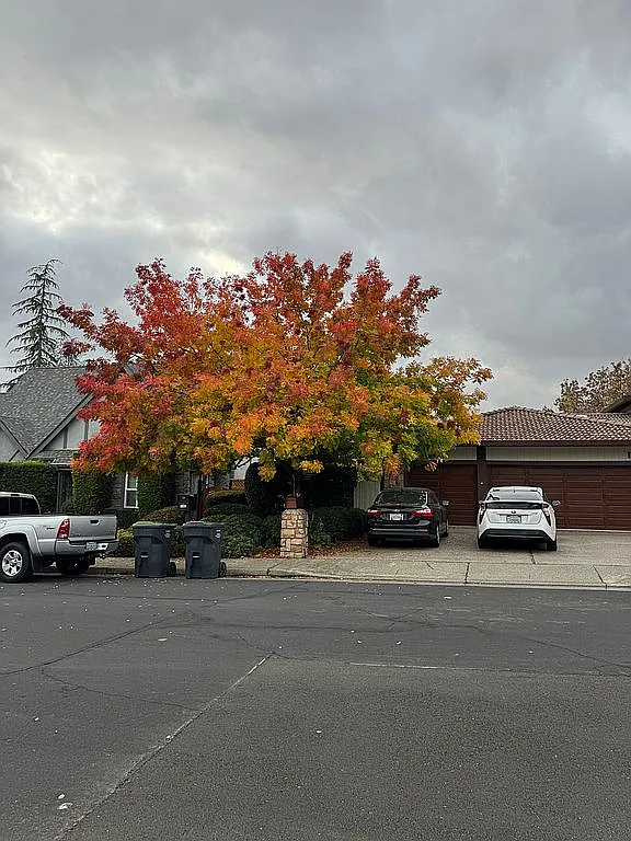 1771 Lehi Ct photo 1