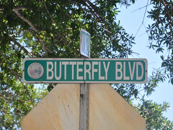 5th image of 943 Butterfly Blvd