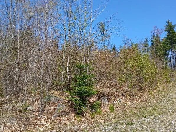 40 A Eleanor Mae Road, Deblois, ME 04622