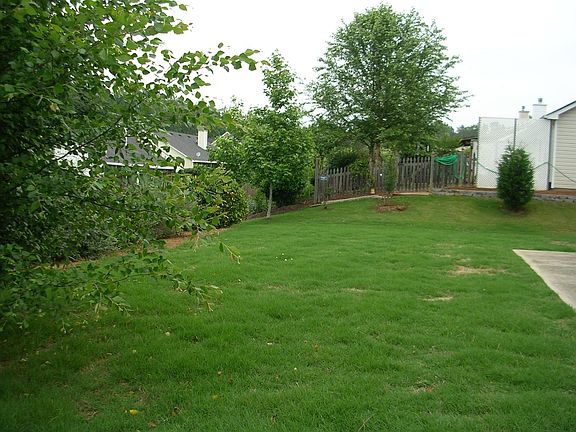 Landscaped back yard