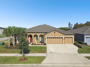 8800 Birchleaf Ct, Land O Lakes, FL 34637