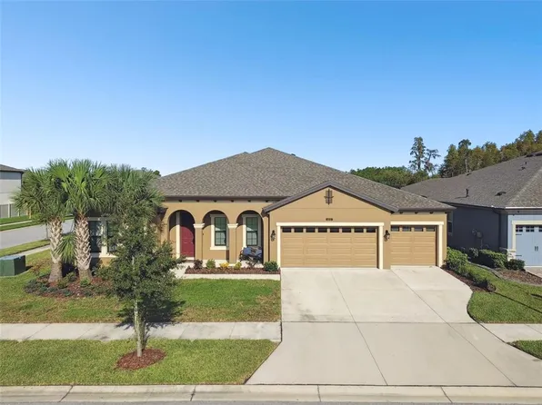 8800 Birchleaf Ct, Land O Lakes, FL 34637