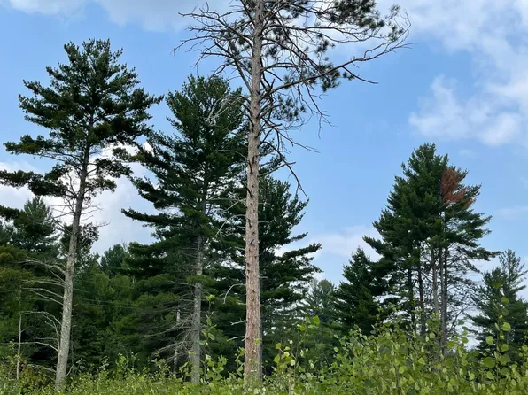 20373 N Hummingbird Dr, Grand Rapids, MN 55744