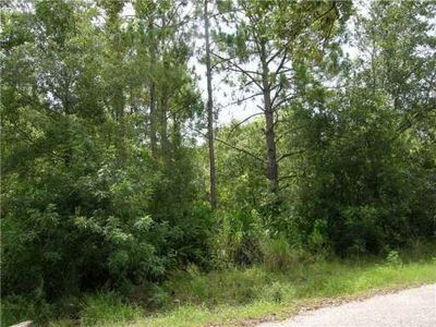 2675 Poinsetta Ave, Sanford, FL, 32773
