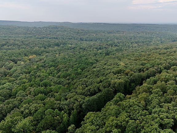 4th image of 0 Ozark Poin