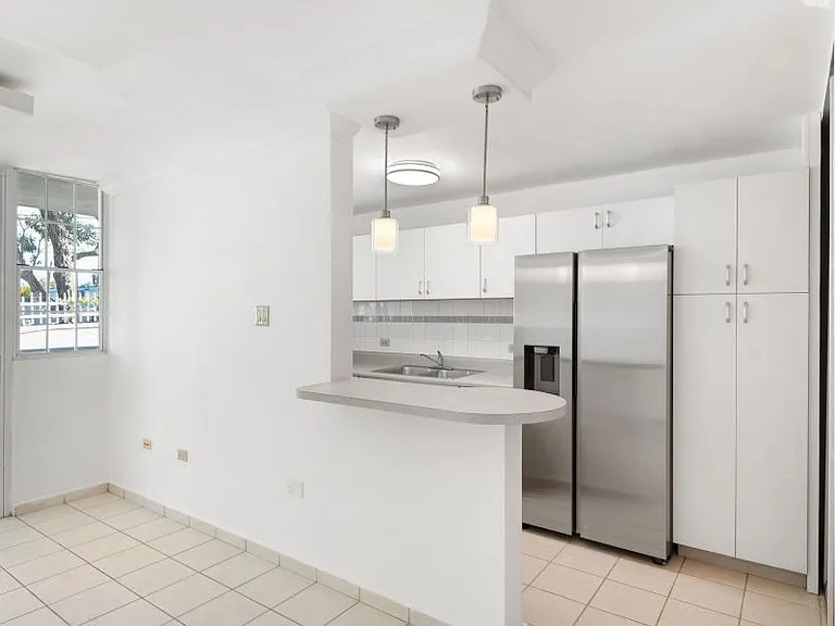 Cond Boulevard Del Rio Apt C204 — Photo 8