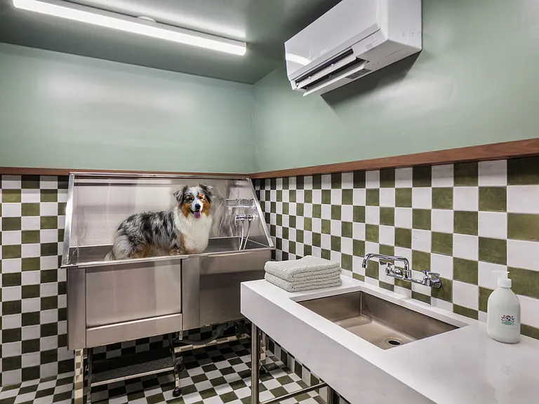 19 Rockwell Pl #24E — Photo 37