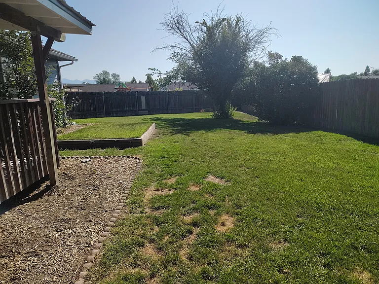 Backyard-Fenced