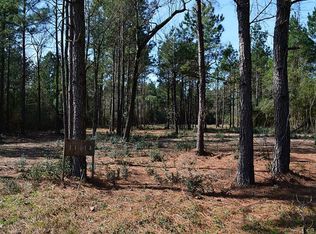 11614 Sebastians Run, Montgomery, TX 77316