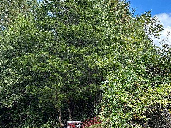 4th image of 310 Snow Mill Dr