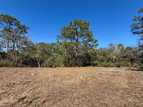 2nd image of LOT 11 POINCIANA STREET LOT 11