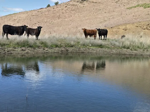 Xox Townsend Rd, Gazelle, CA 96034