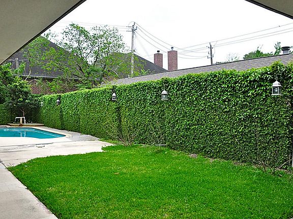 Large green space with pool and professional landscaping.