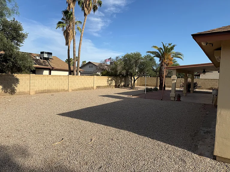 Xeriscape Backyard