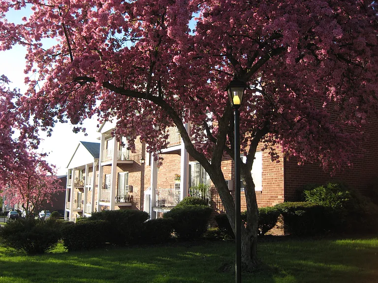 Park Hill Lane Apartments — Photo 11