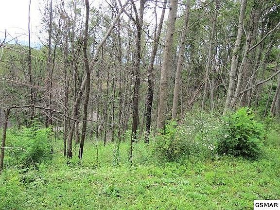 3rd image of 58 Deer Path Ln #58