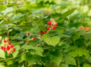 640 Shipwreck Rd, Shenandoah, VA 22849