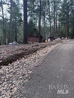 2nd image of 4271 Forest Hill Drive