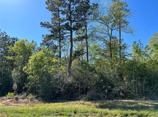 335 Exploration Rd, New Waverly, TX 77358