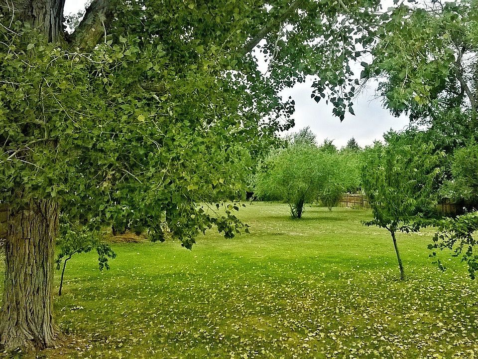backyard view from deck
