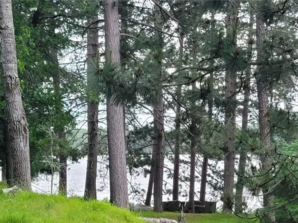 52040 & 52030 Robinson Lake Road, Solon Springs, WI 54873