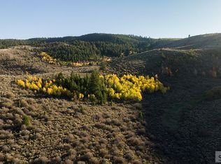 1242 Pescadero Rd, Montpelier, ID 83254