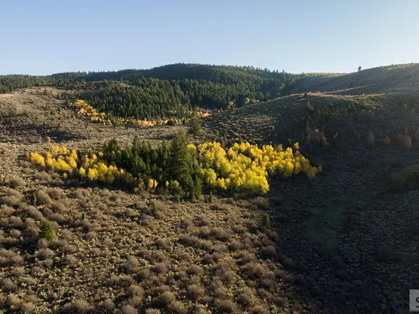 1242 Pescadero Rd, Montpelier, ID 83254