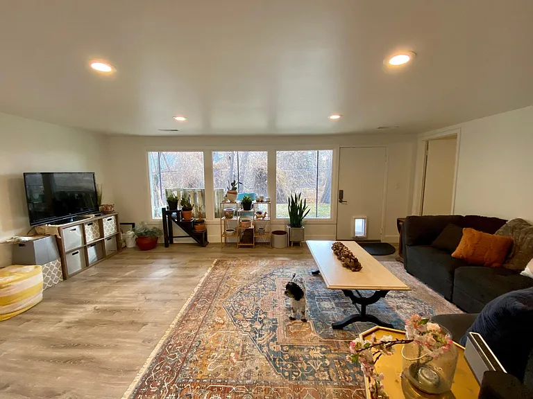 Daylight Basement Family Room