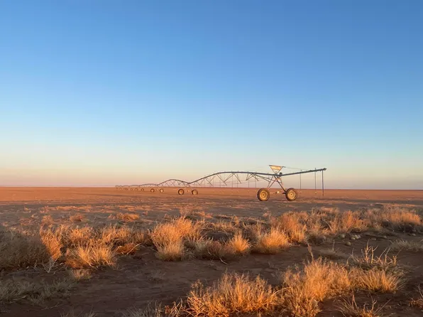 County Road 132, Loop, TX 79342