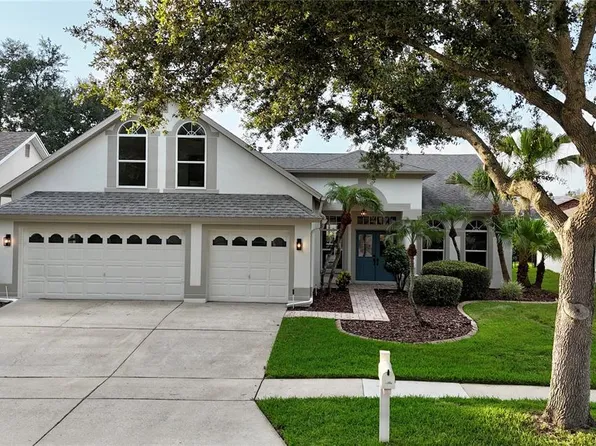 10226 Timberland Point Dr, Tampa, FL 33647
