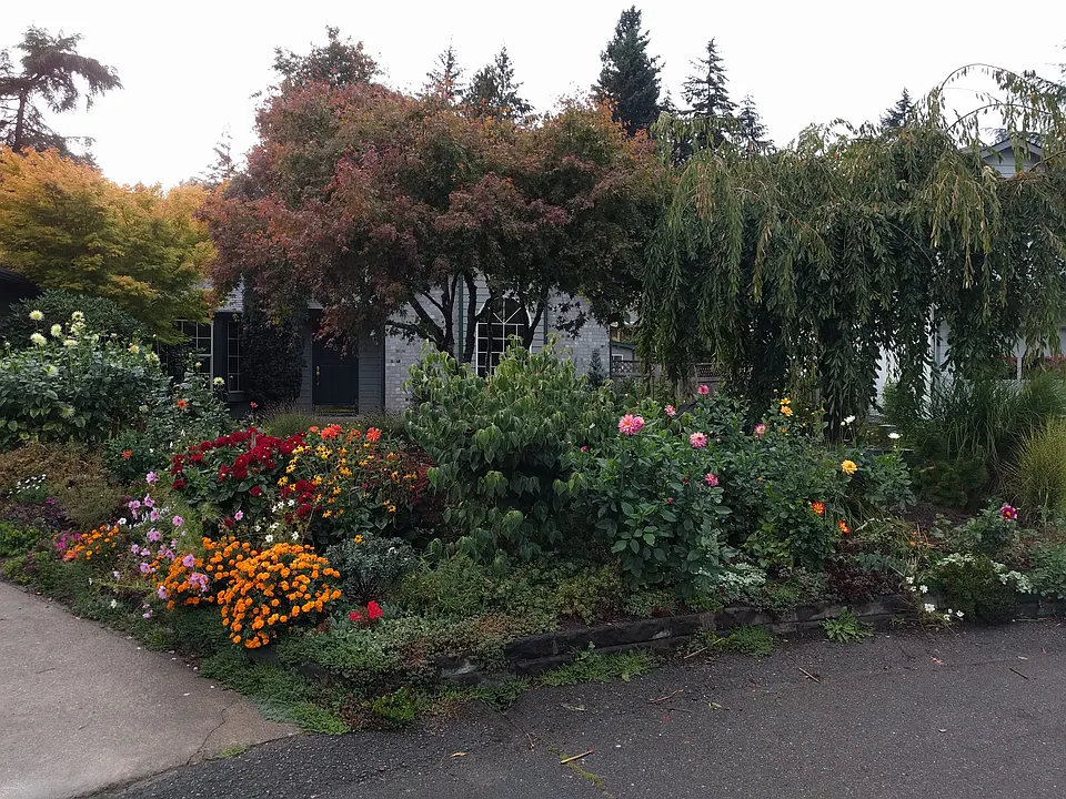 Front yard garden