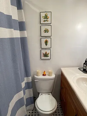 Rented by M.Woods & Associates | media 20