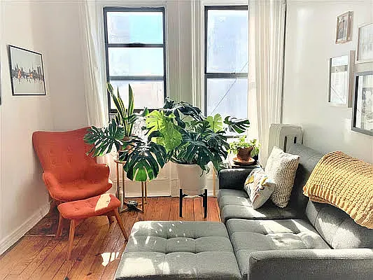 Rented by Virtual Real Estate | media 15