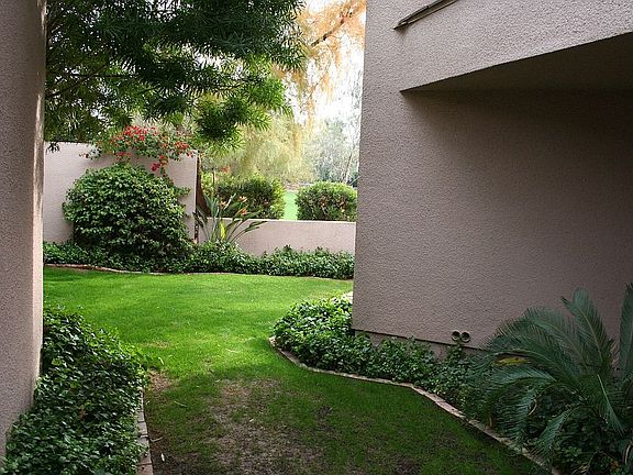 View to Backyard