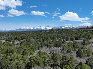 TRACT 56 Wildcat Canyon Rd, Montrose, CO 81403