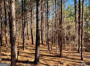 215 Old Goshen Church Rd, Roopville, GA 30170