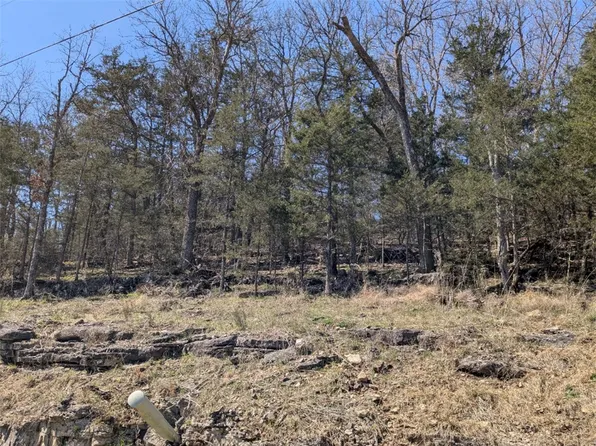 Oakpoint Ln #1, Eureka Springs, AR 72631