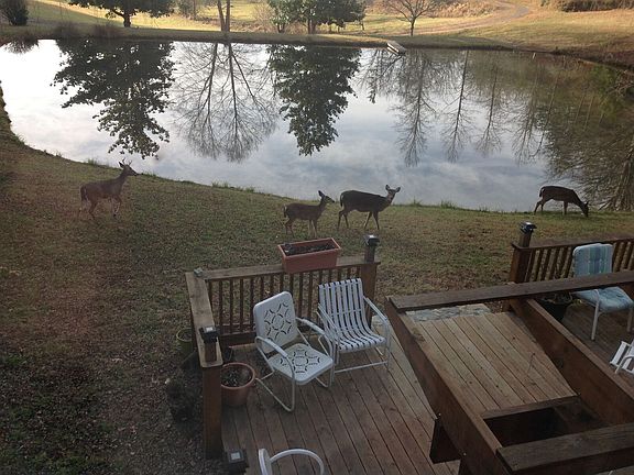 view from sunroom (main floo