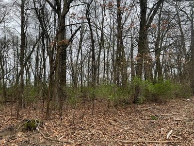 Crystal Springs St, Dowagiac, MI, 49047