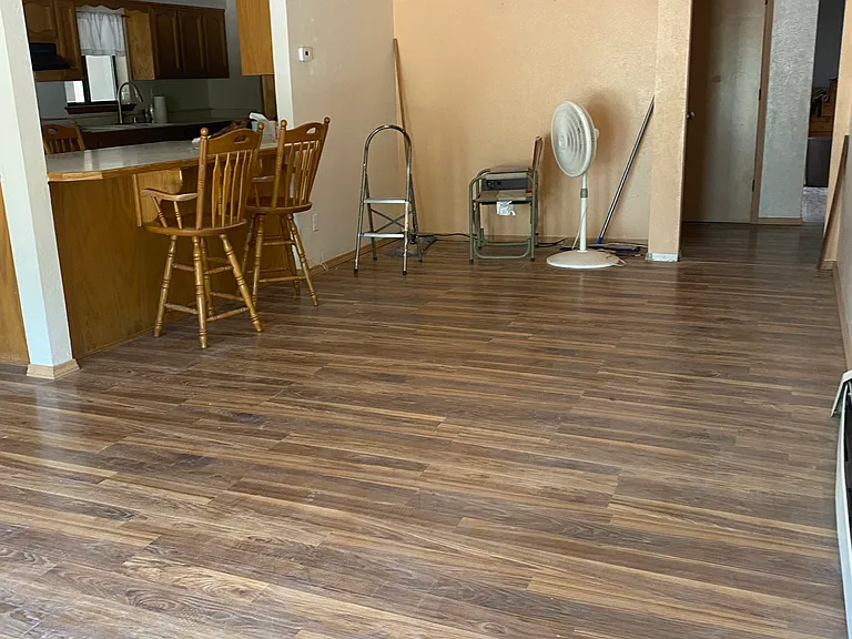 Living room/ dinning area