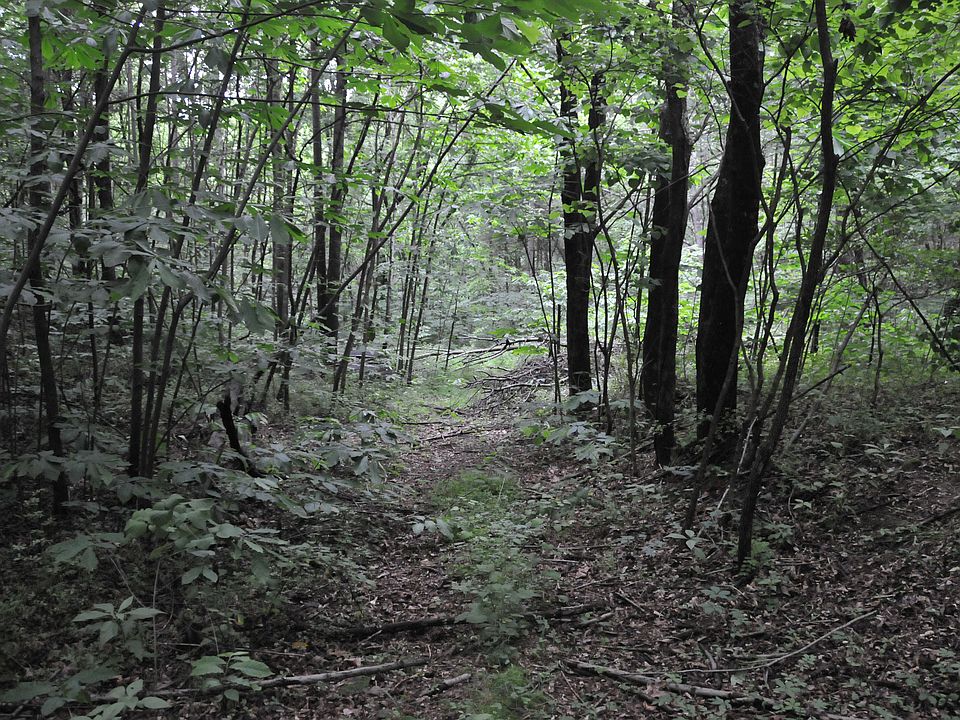 2nd image of 00 Little Catawba Creek Rd