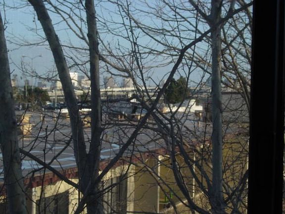 View of Oakland thru trees